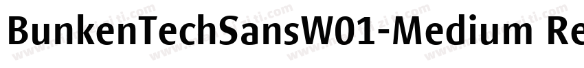 BunkenTechSansW01-Medium Regular字体转换